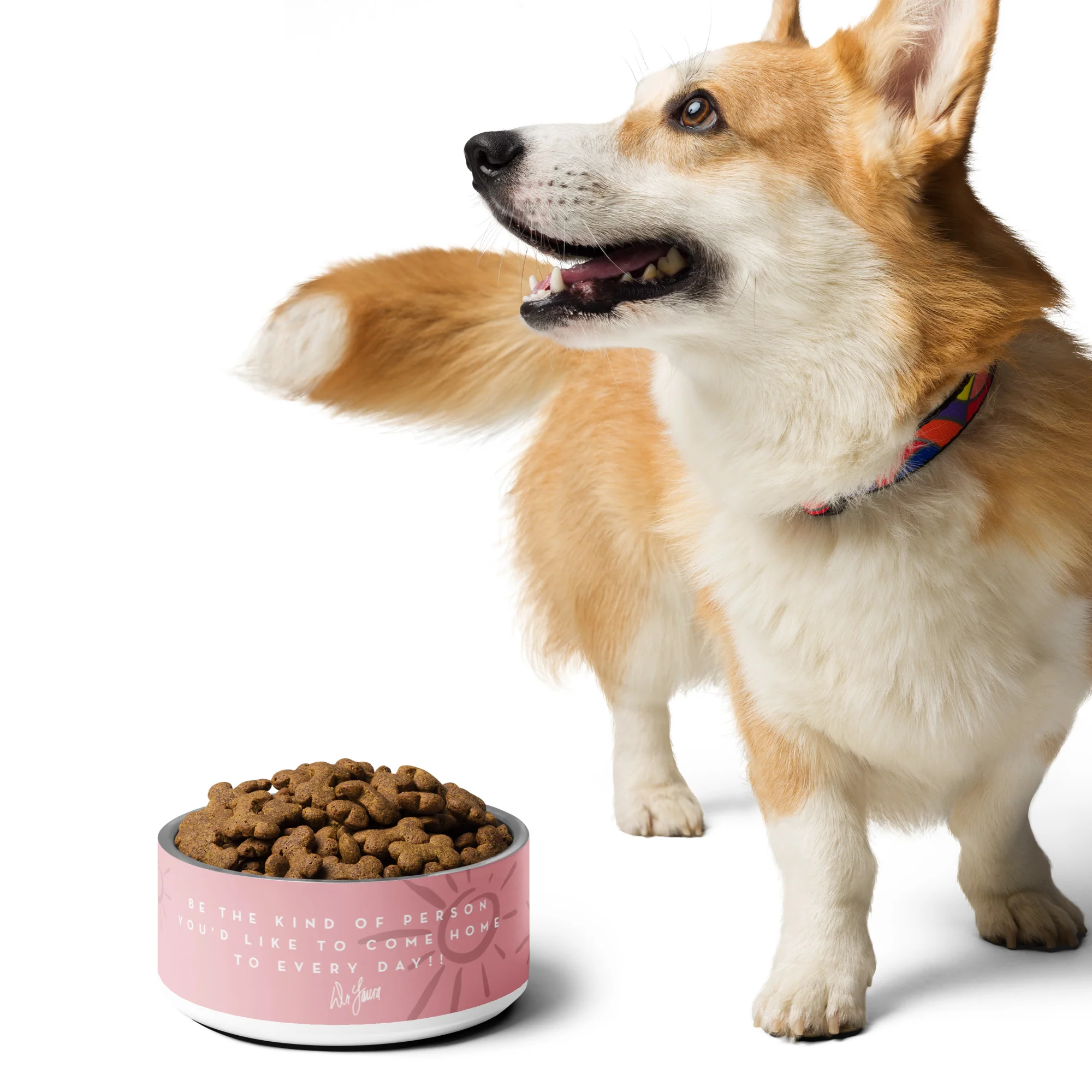 Dr. Laura: Everyday Pet Bowl